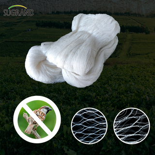 White Warp Knitting Bird Net 75g Pássaro fornecedores de rede