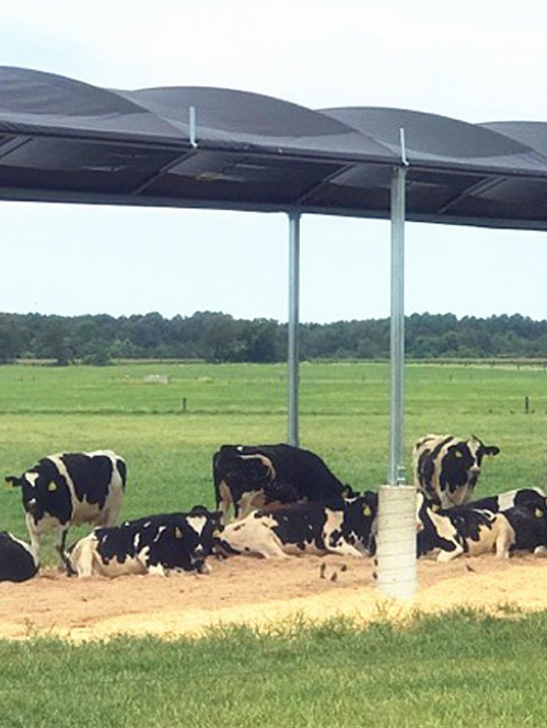 NET de sombra agr&iacute;cola