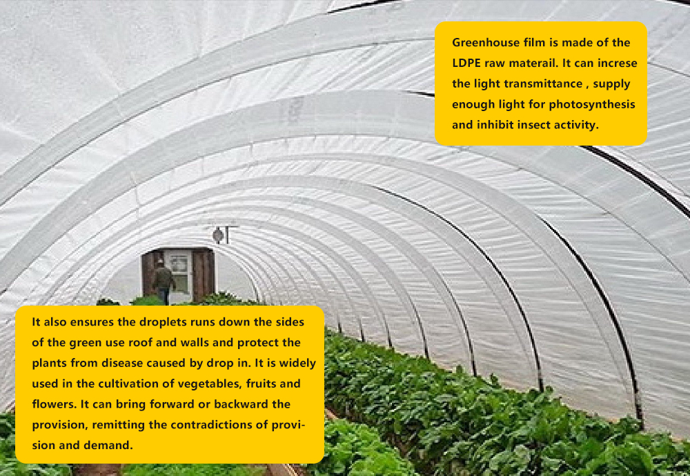 Plastic Sheeting Film Filme de folha de plástico