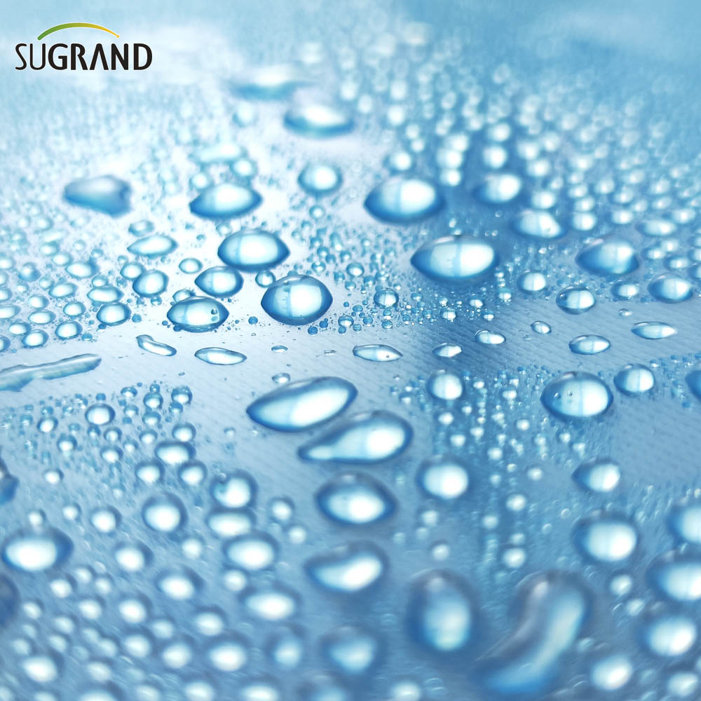 150 Micron-250 Micron UV Transparente Polietileno Filme de cobertura de plástico para estufa Pe