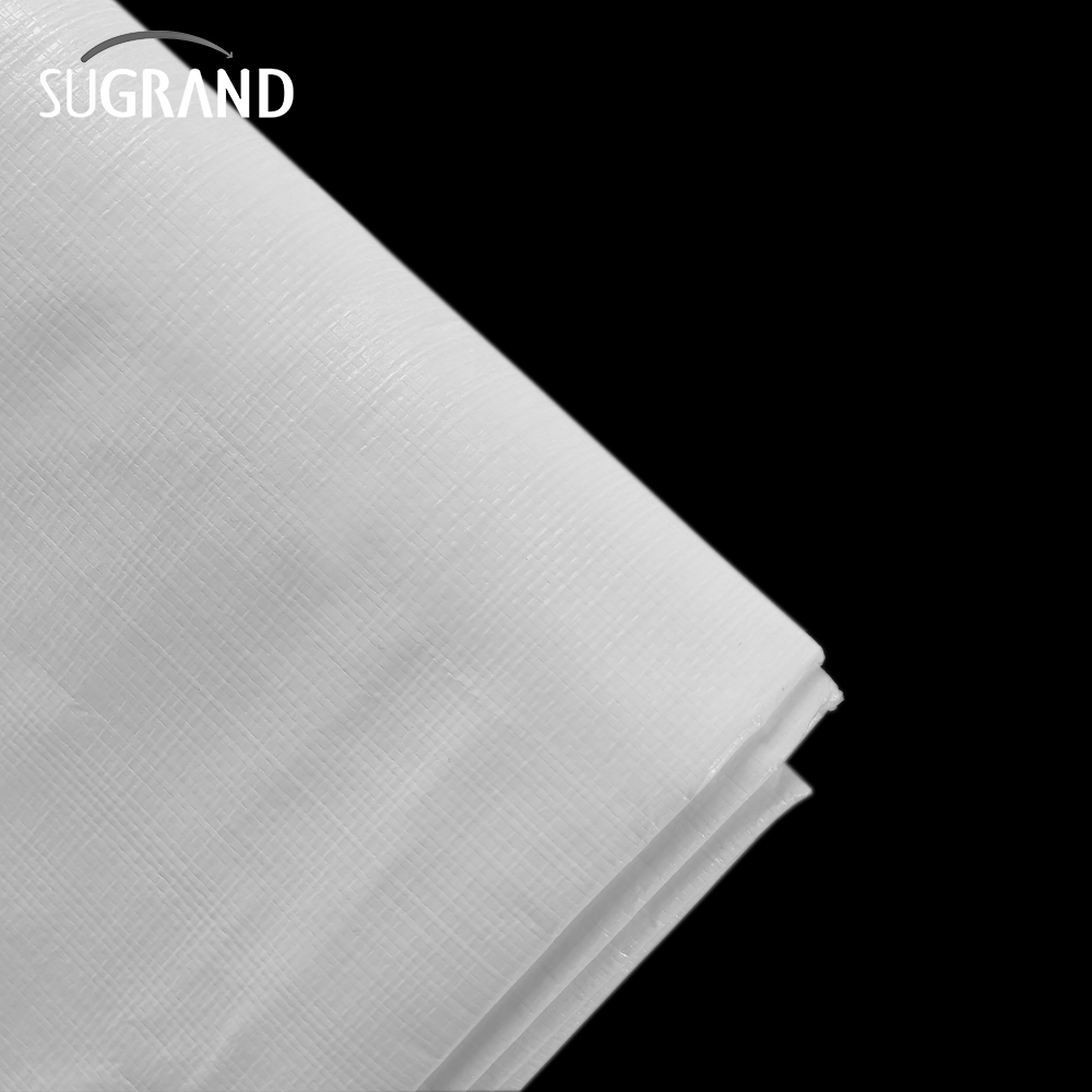 Tarcaulina branca pe