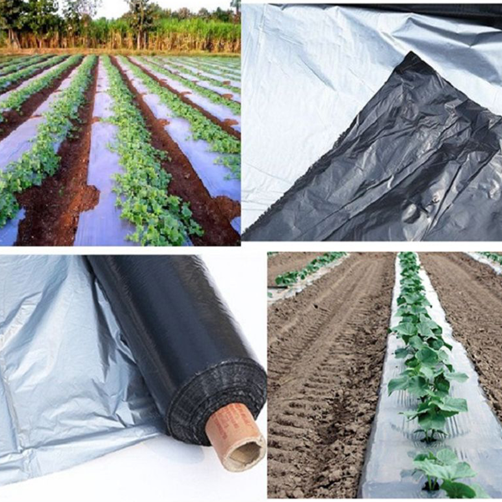 filme de cobertura morta