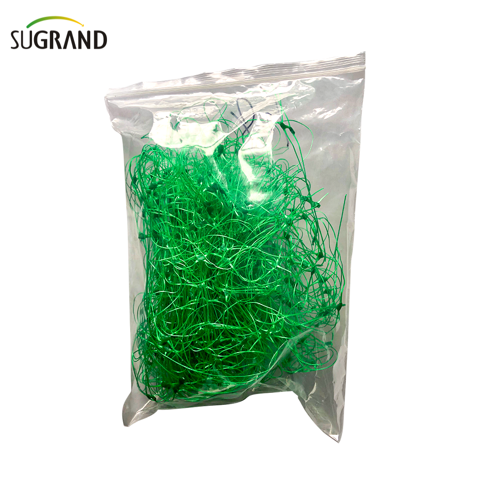 10GSM Green Plant Support Net/Bean Net