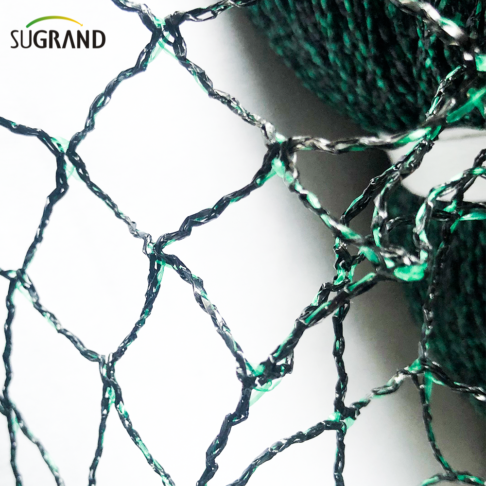 Rede de pássaros para árvores frutíferas em preto e verde malha de pombo