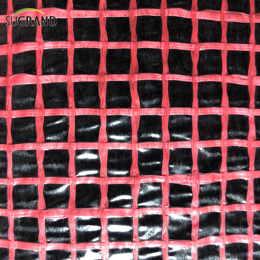 Felas de malha de andaimes plásticos Tarcaulina PE transparente