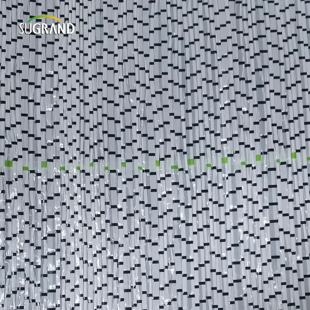 Tampa do solo preto de 90gsm/tapete de ervas daninhas