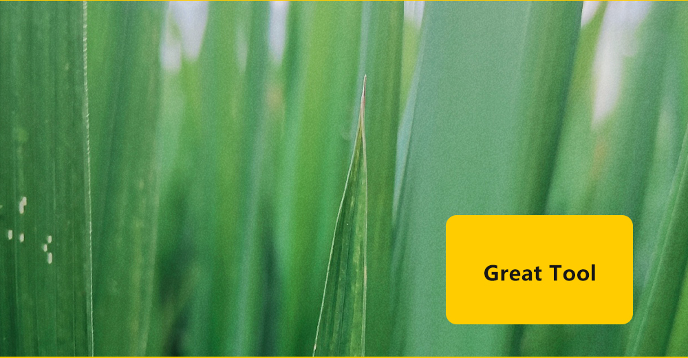 greenhouse film7 Greenhouse Film7