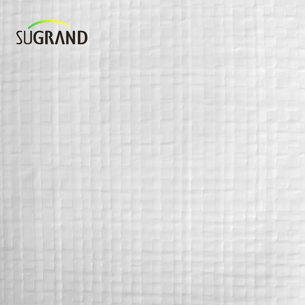 Tarcaulina branca pe