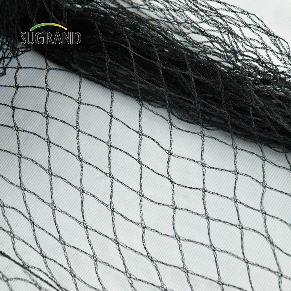 Fábrica de rede agrícola para pássaros verdes pretos