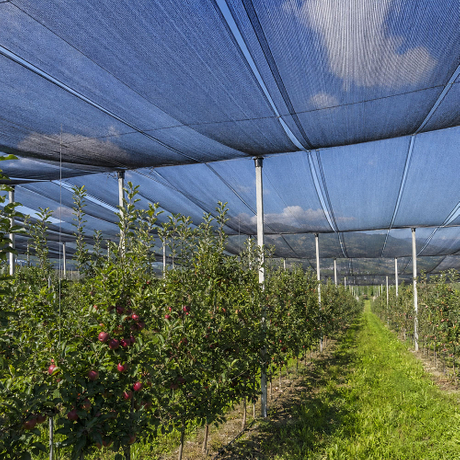 shade nets.jpg