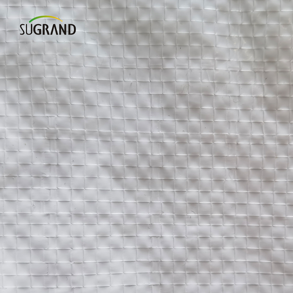 Fábrica de plástico branca de plástico branco de fábrica folha de lona UV