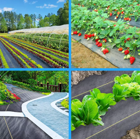 A cobertura do solo pode lidar com o tempo agressivo?