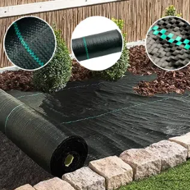 Como escolher a melhor cobertura do solo para o seu jardim