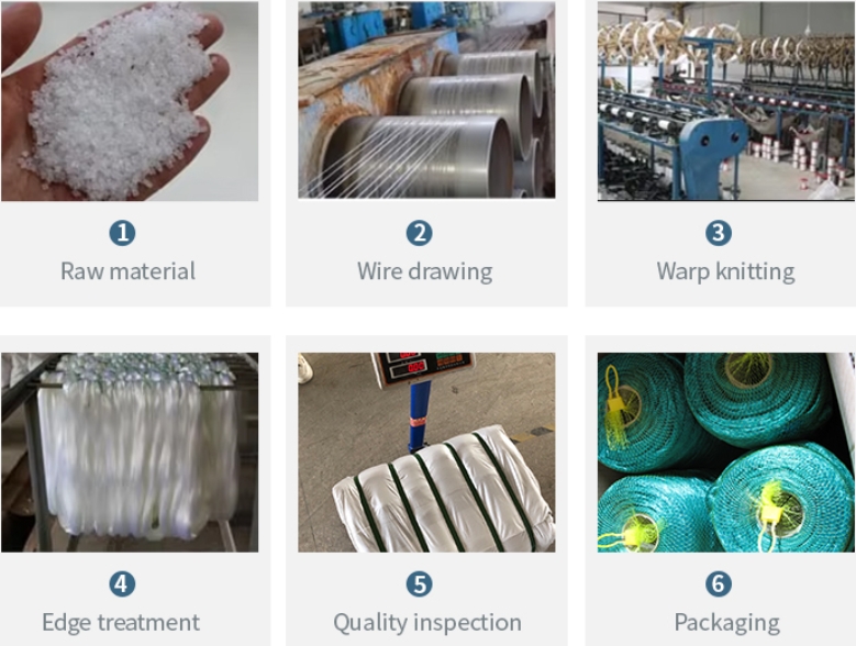 Fornecedor de rede de p&aacute;ssaros