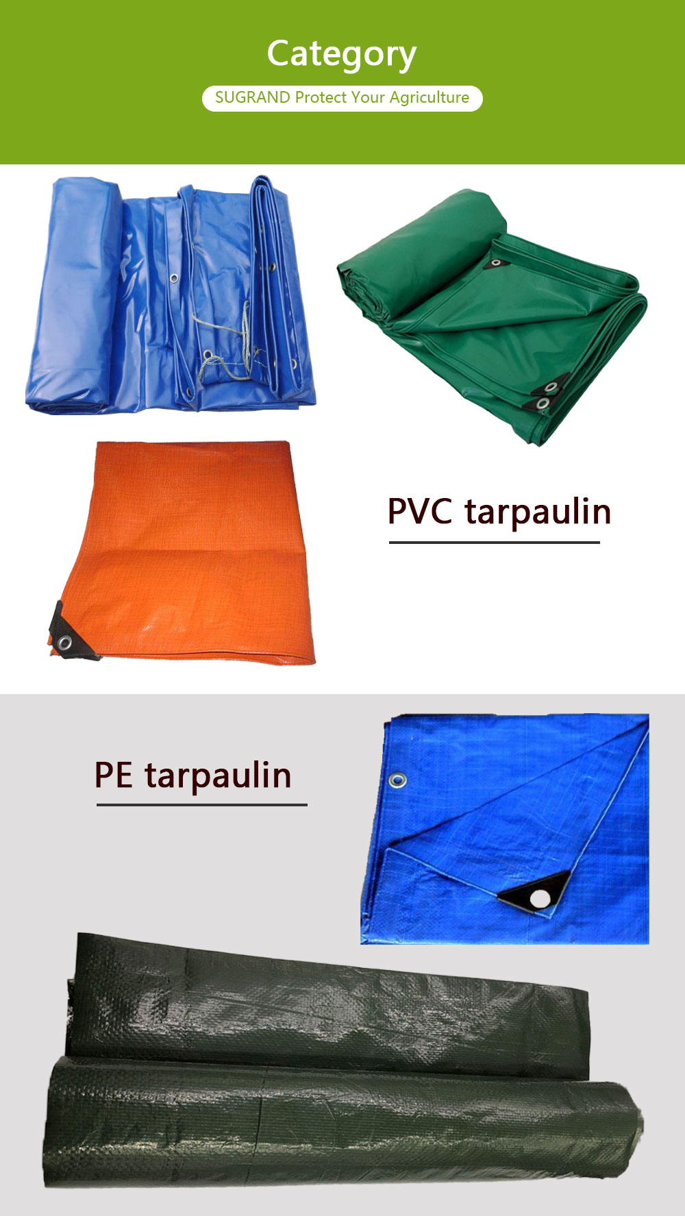 tarpaulin2 Tarpaulina2