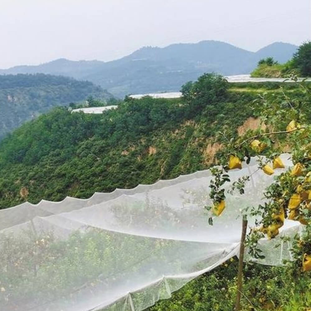 Rede de malha de granizo premium para vinhedos