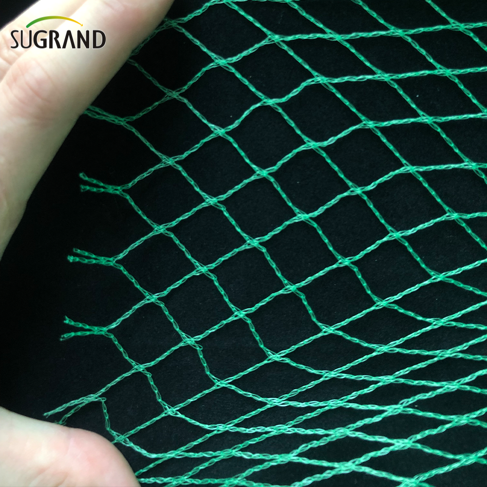 Mercado argentino Green Bird Protection Net Nylon Mist Bird Nets
