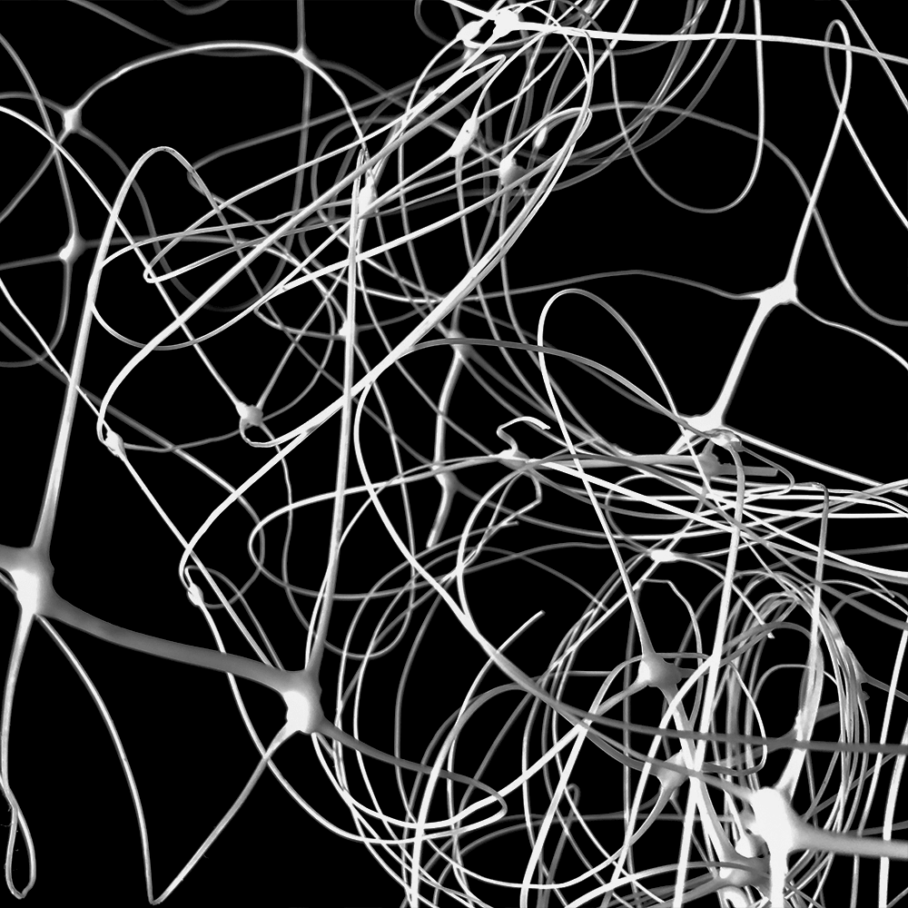 Trellis de jardim de suporte de plantas para escalar plantas ao ar livre