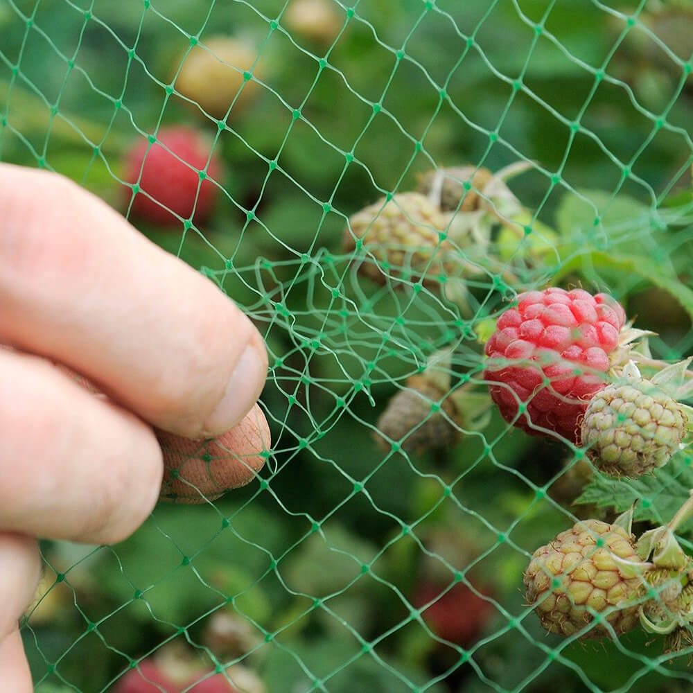 Rede anti-pássaros para pomar e fazenda