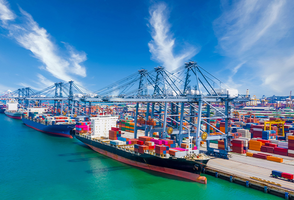 rica experiência em produção e exportação 