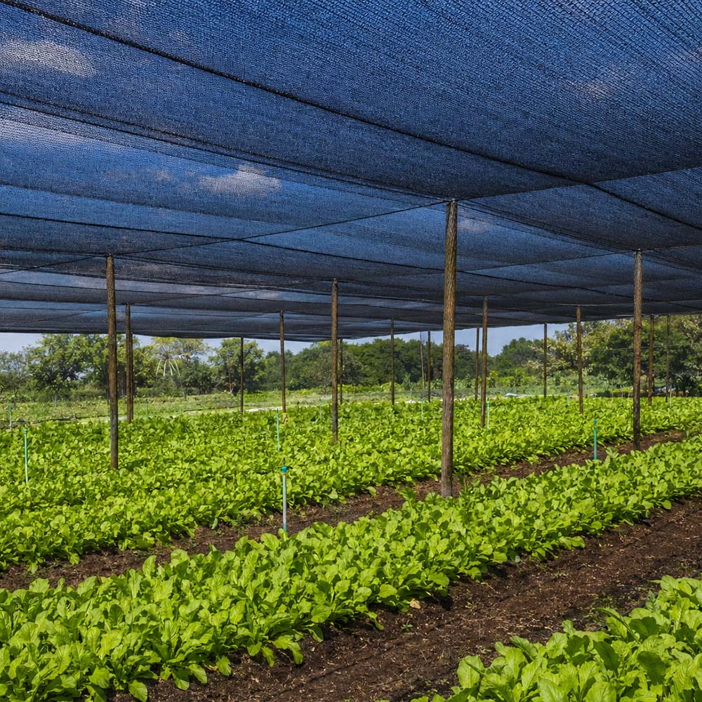 Rede de sombra mono preta de malha HDPE por atacado