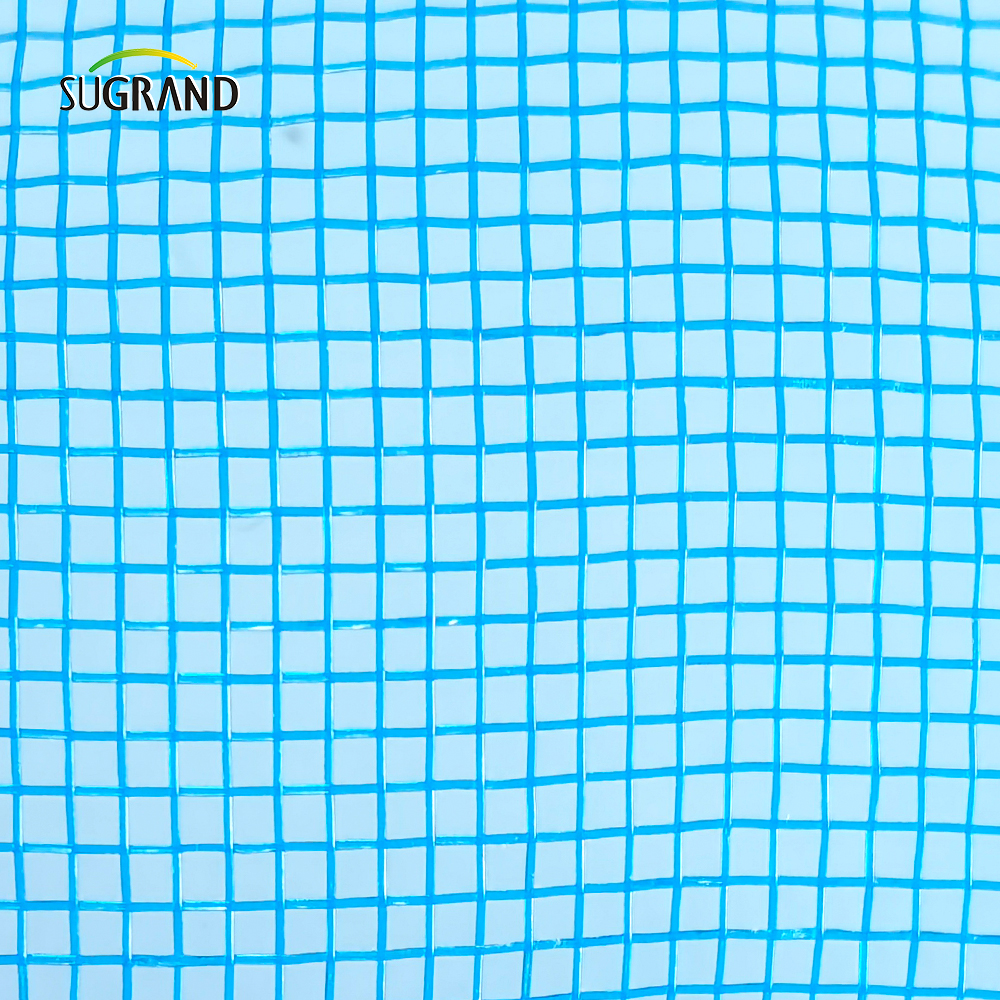 Blue HDPE e Mosquito UV Screen Mesh Net para janelas ou porta