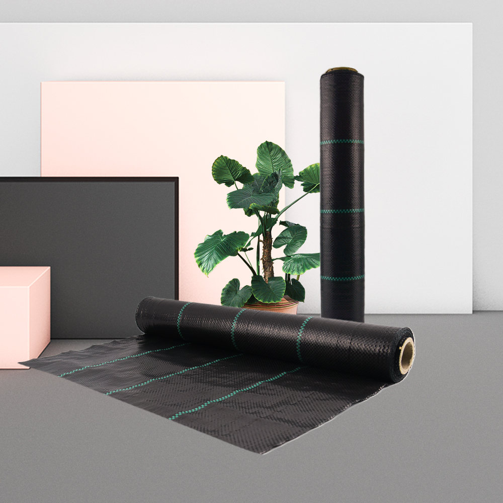 Cobertura do solo de controle de ervas daninhas de 100g/m2 de alta qualidade para estufa