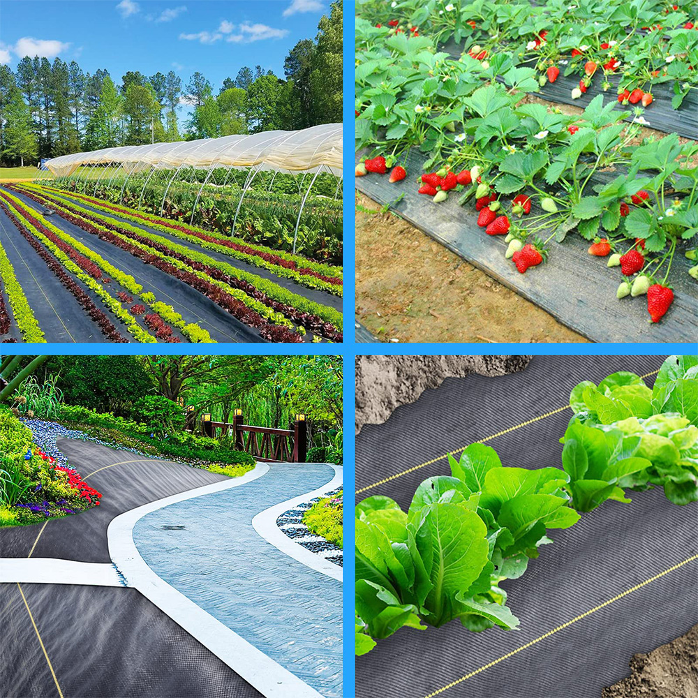 Polipropileno (PP) Tampa de Tobagem do solo barreira de ervas daninhas