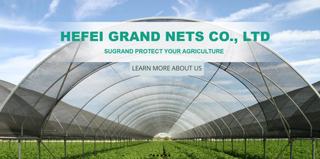 What’s the Best Ground Cover for Weed Control.png