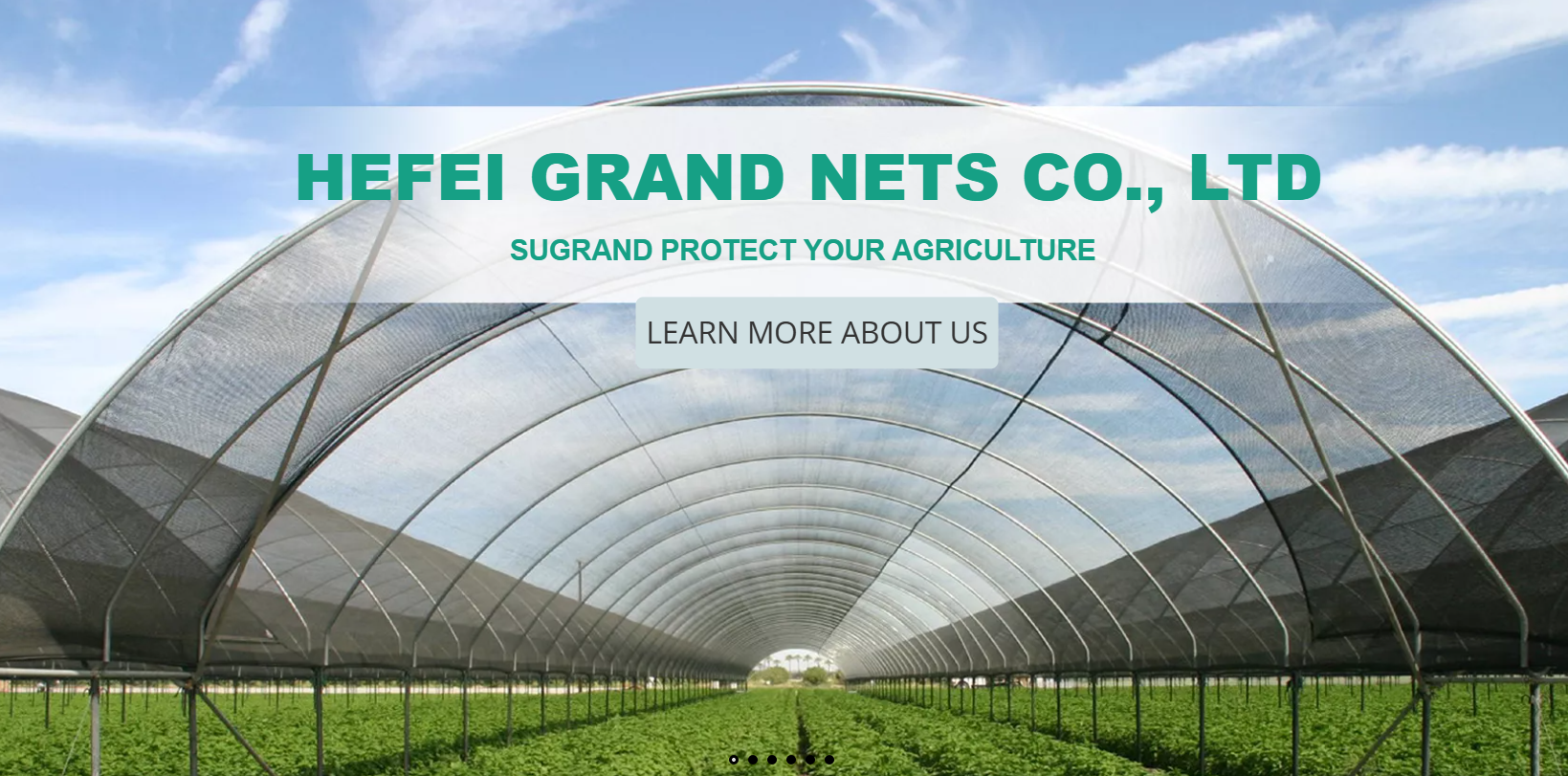 Qual é a melhor cobertura do solo para o controle de ervas daninhas?