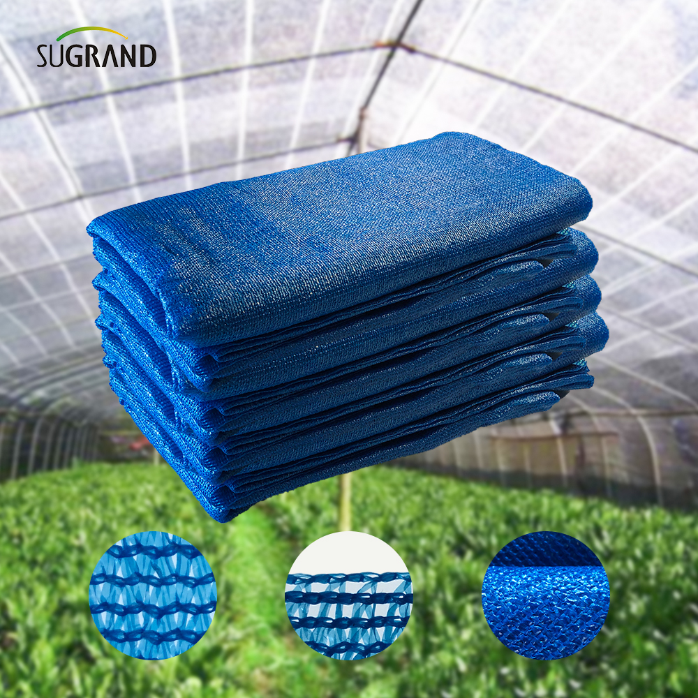 Seis agulhas mono+fita adesiva azul net