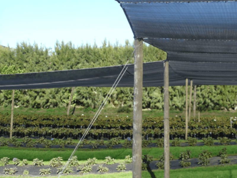 rede de sombreamento vegetal