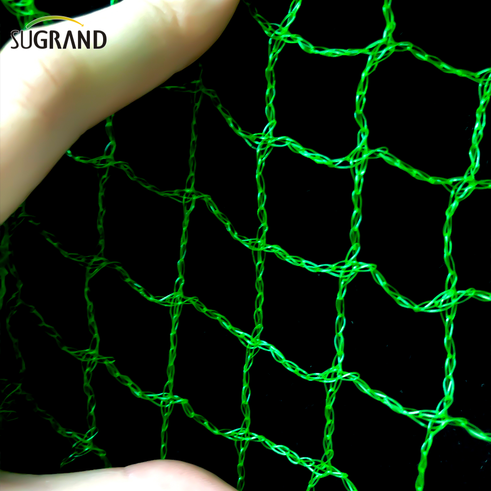 Rede de pássaros verdes de 10 mm-30mm para capturar rede de pássaros