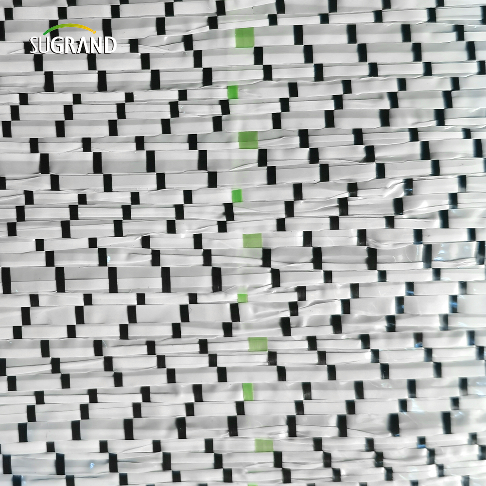 Tampa do solo preto de 90gsm/tapete de ervas daninhas