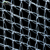 Novo produto 75gsm White/Black Anti -Bird Net