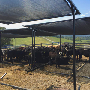 Fábrica de redes monosombreadas de malha agrícola