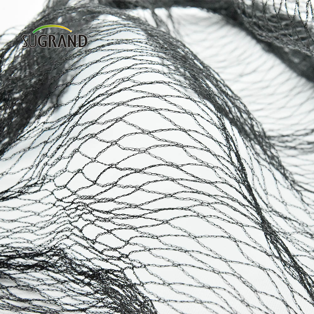 Fábrica de rede agrícola para pássaros verdes pretos