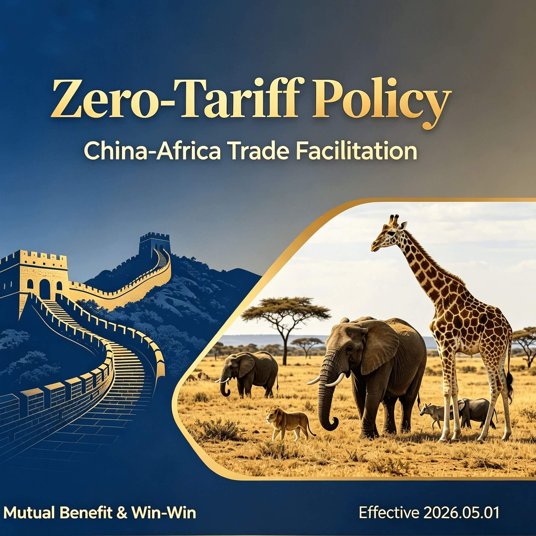 Tarifa Zero China-África: Uma Nova Era para o Comércio B2B