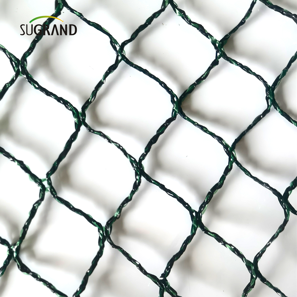 República Tcheca100% HDPE+UV 25GSM 20*20mm Malha 5*6/12m Agricultura verde preta Catchar Bird Bird Netting