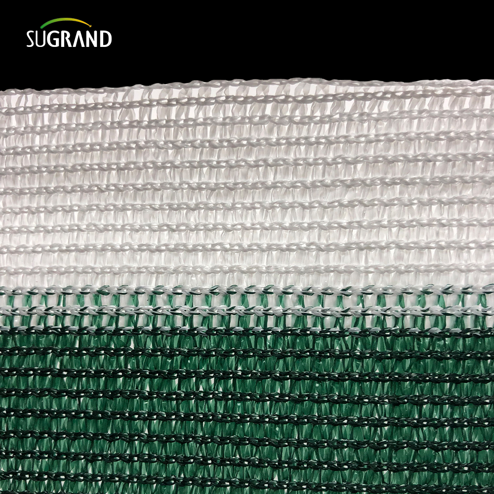 Alta qualidade 6 agulhas