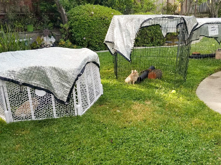 Mainces de rede agrícola de sombra em Bangalore