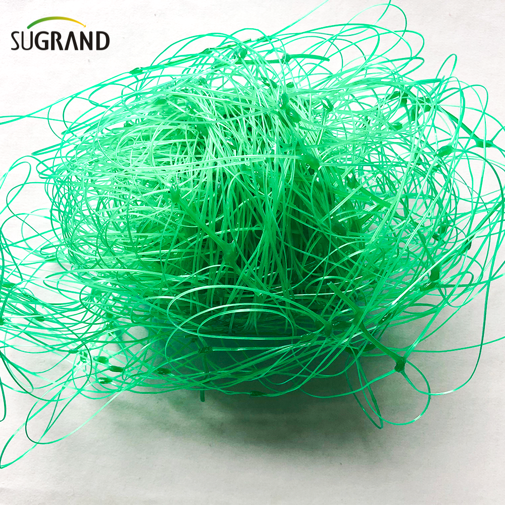 10GSM Green Plant Support Net/Bean Net