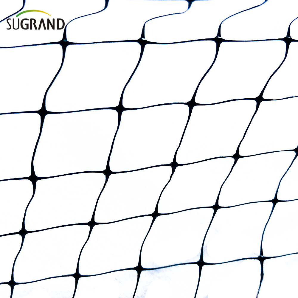 Rede preta anti-pássaros para plantas