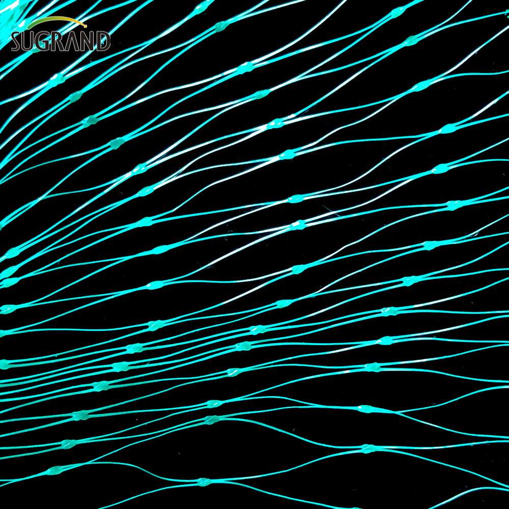 Agricultural HDPE Plastic Invisible Bird Reding para venda 