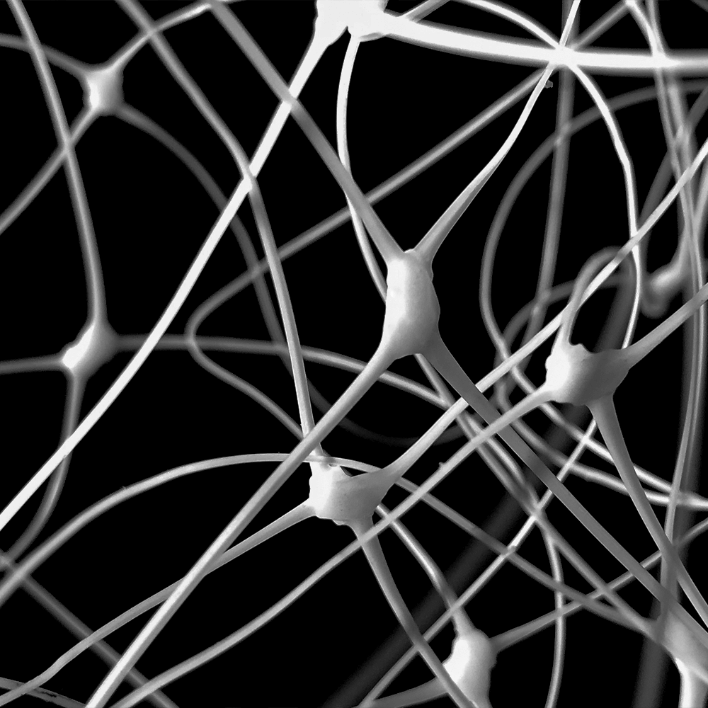 Trellis de jardim de suporte de plantas para escalar plantas ao ar livre