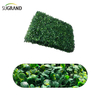 Cerca de folha artificial PVC Cerca artificial Artificial Artificial Fake Turf