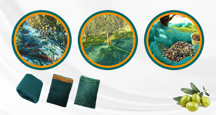 olive net supplies suprimentos de rede de oliveira