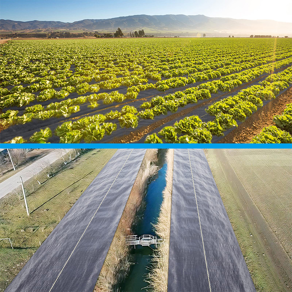 Polipropileno (PP) Tampa de Tobagem do solo barreira de ervas daninhas