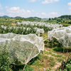 Rede de insetos de malha HDPE 40 para vegetais com efeito de estufa
