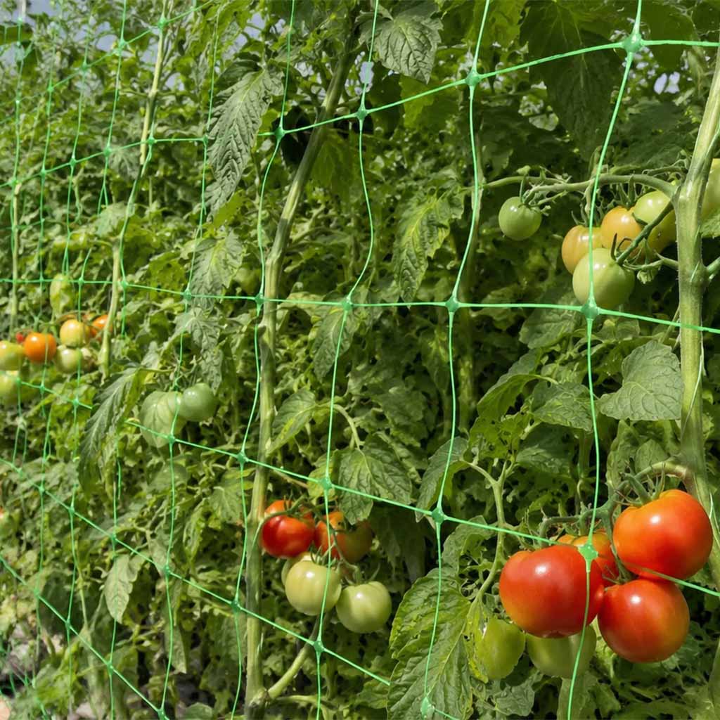 Como escolher a rede de suporte de plantas certa para diferentes culturas?